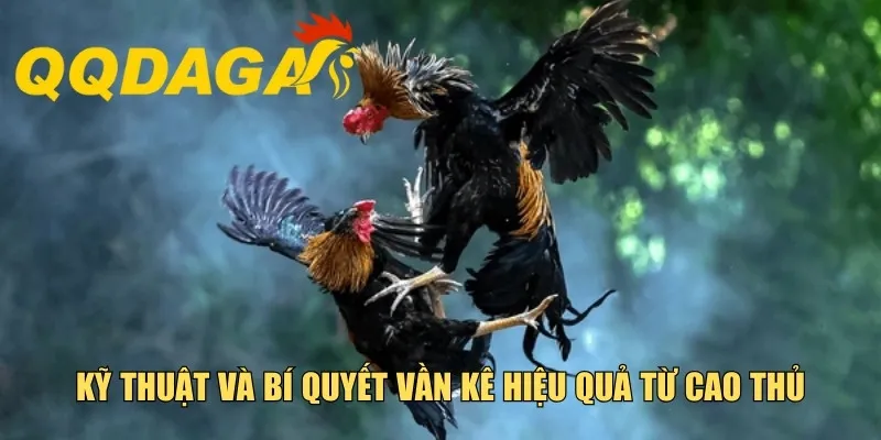 Kỹ thuật và bí quyết vần kê hiệu quả từ cao thủ